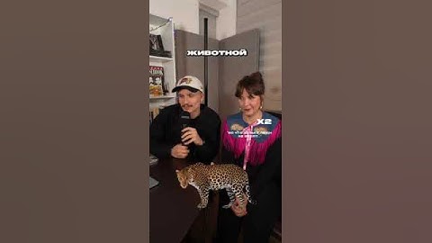 2 правды и 1 ложь (версия секты)