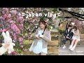  japan vlog ep2  shinjuku gyoen garden sakura harajuku pompompurin cafe shibuya crossing