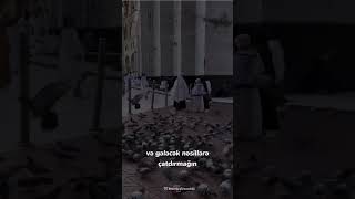 Bu Gün İmam Cəfər Sadiqin Ə Şəhadət Günüdür