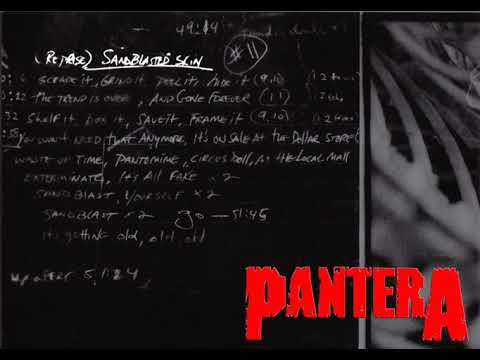 Pantera Reprise Sandblasted Skin Instrumental 