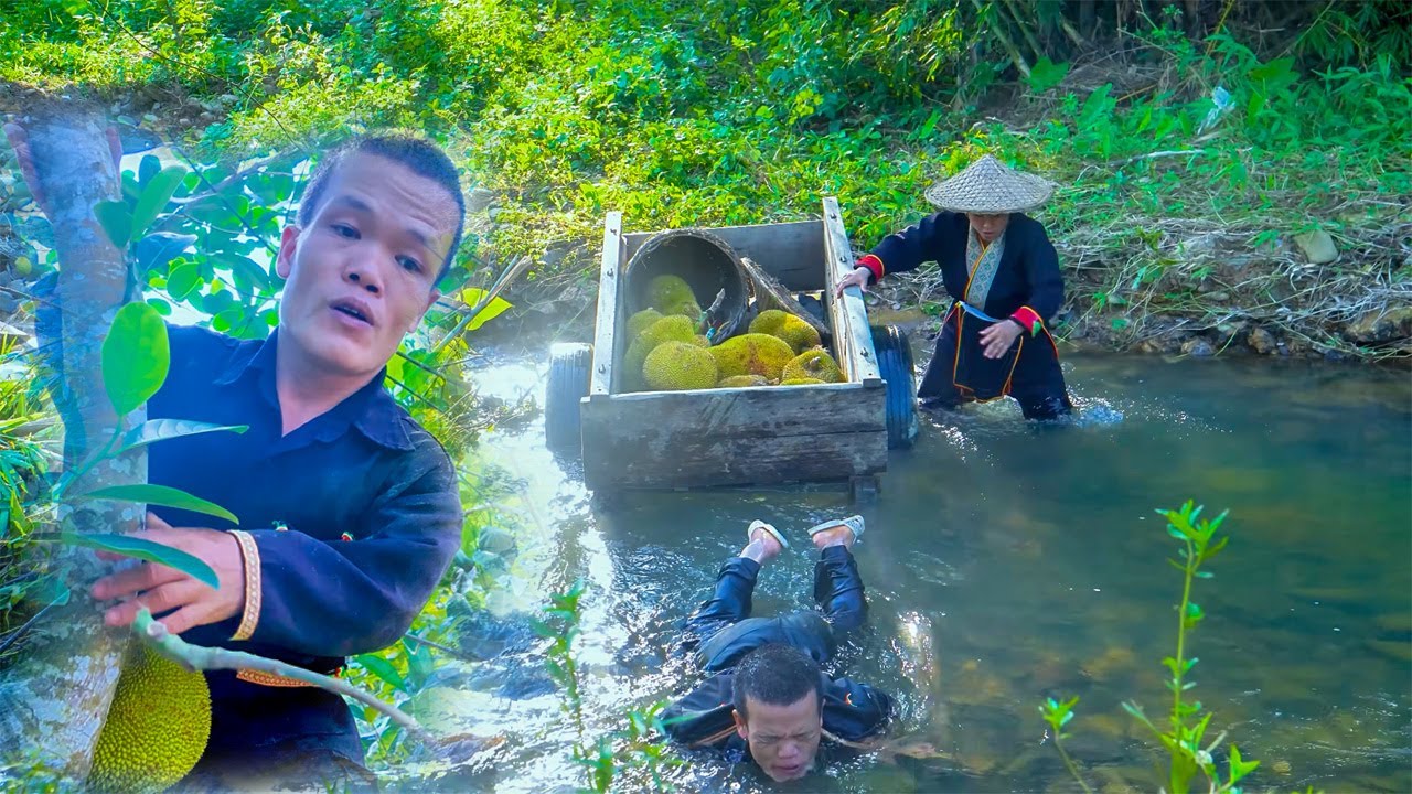 Dwarf Family Harvests Jackfruit - Carrying with Horse Cart and Facing a Giant Python