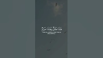 الآية ١١٦ من سورة النحل🤎.