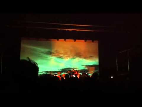 Feist - Cicadas and Gulls