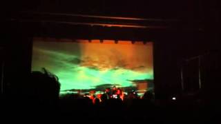 Feist - Cicadas and Gulls
