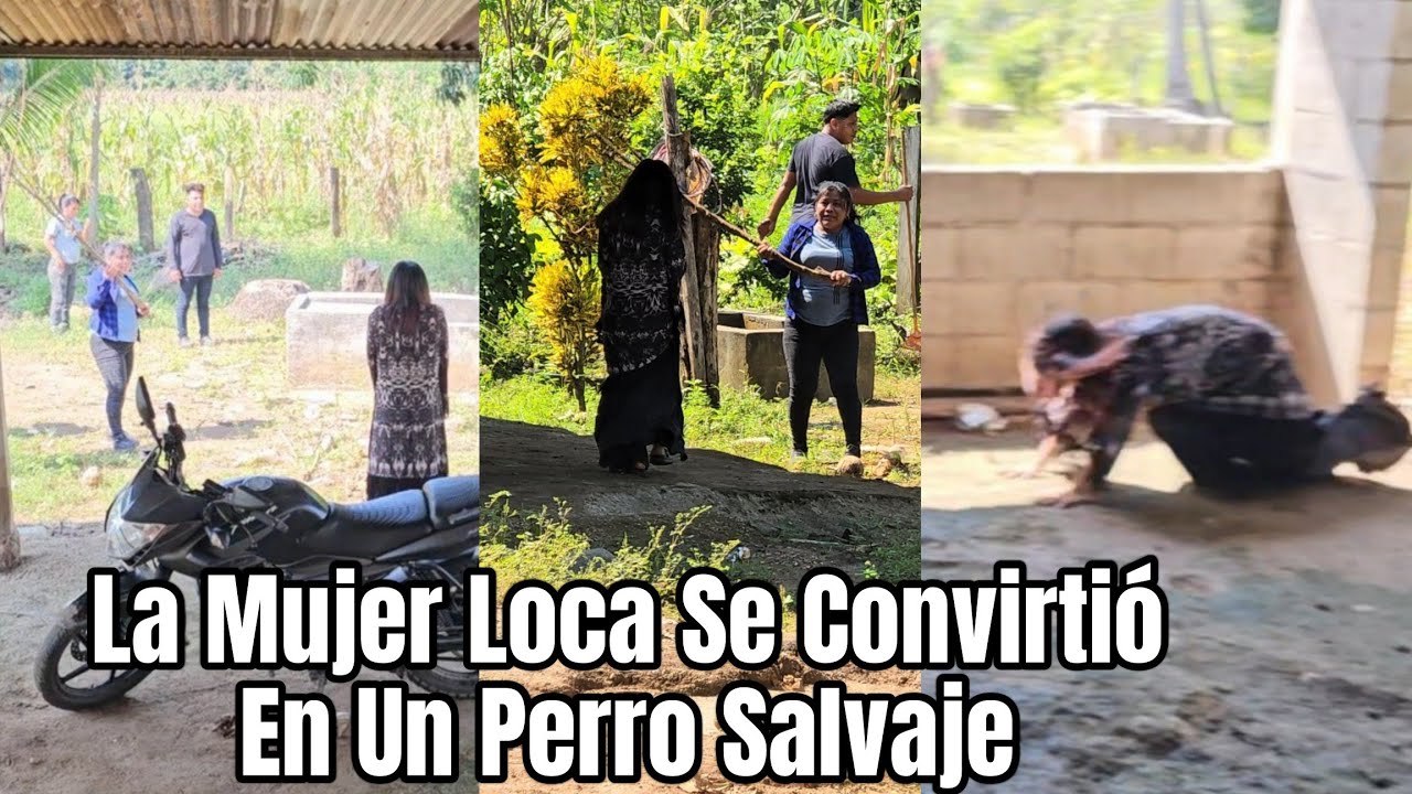 La Ioca Persigue A Los Chicos Hasta Dejar lnc0nsci3nte A Uno De Ellos