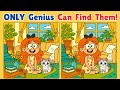 find the difference | spot the difference | puzzle game🧩🧠