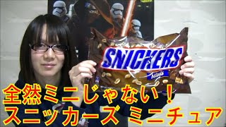 【コストコ定番商品】全然ミニじゃない！スニッカーズ ミニチュア　紹介