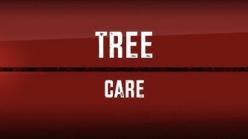 Tree Care: Lightning Protection Systems in Trees - AM Consumer Advice