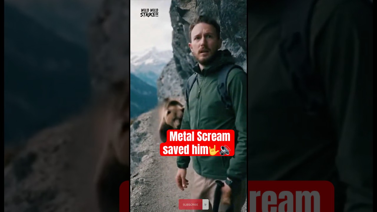 HEAVY METAL vs BEAR! 😱🤘 The ultimate cliff encounter.