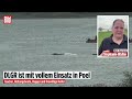 BILD VOR ORT BEIM BUCKELWAL: So reagiert Timmy auf die Rettungsaktion