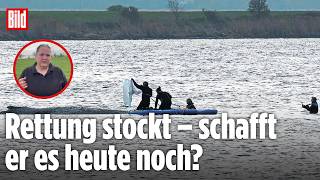 Bild Vor Ort Beim Buckelwal So Reagiert Timmy Auf Die Rettungsaktion