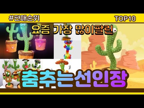춤추는선인장 추천 판매순위 Top10 || 가격 평점 후기 비교