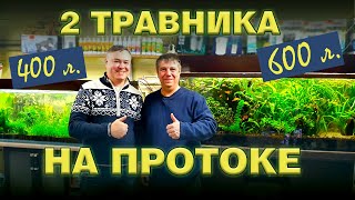 Аквариумы 600 и 400 литров на протоке. Обзор.