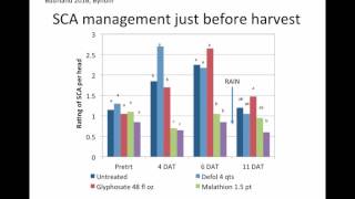 Insecticides to prevent sugarcane aphid sticky harvest problems (5:56)