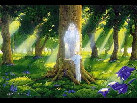 ДУХ МЕСТНОСТИ. КАК ВЫБРАТЬ СВОЕ МЕСТО ДЛЯ ЖИЗНИ. МАЯТНИК КАК НАЙТИ СВОЕ МЕСТО ЖИТЕЛЬСТВА.