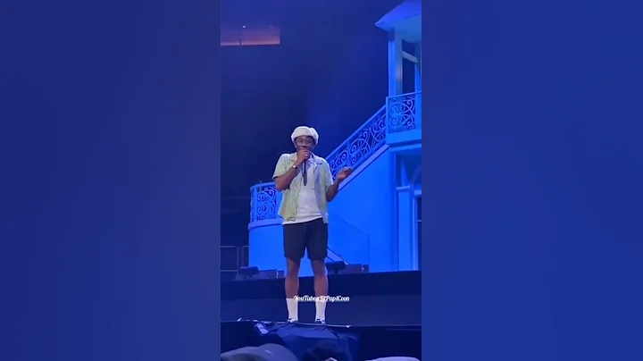 Tyler The Creator flames fan who throws ID onstage