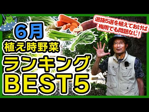 実は6月からでも間に合う！西南部で夏野菜を育てる私が実践してきた7つの管理術