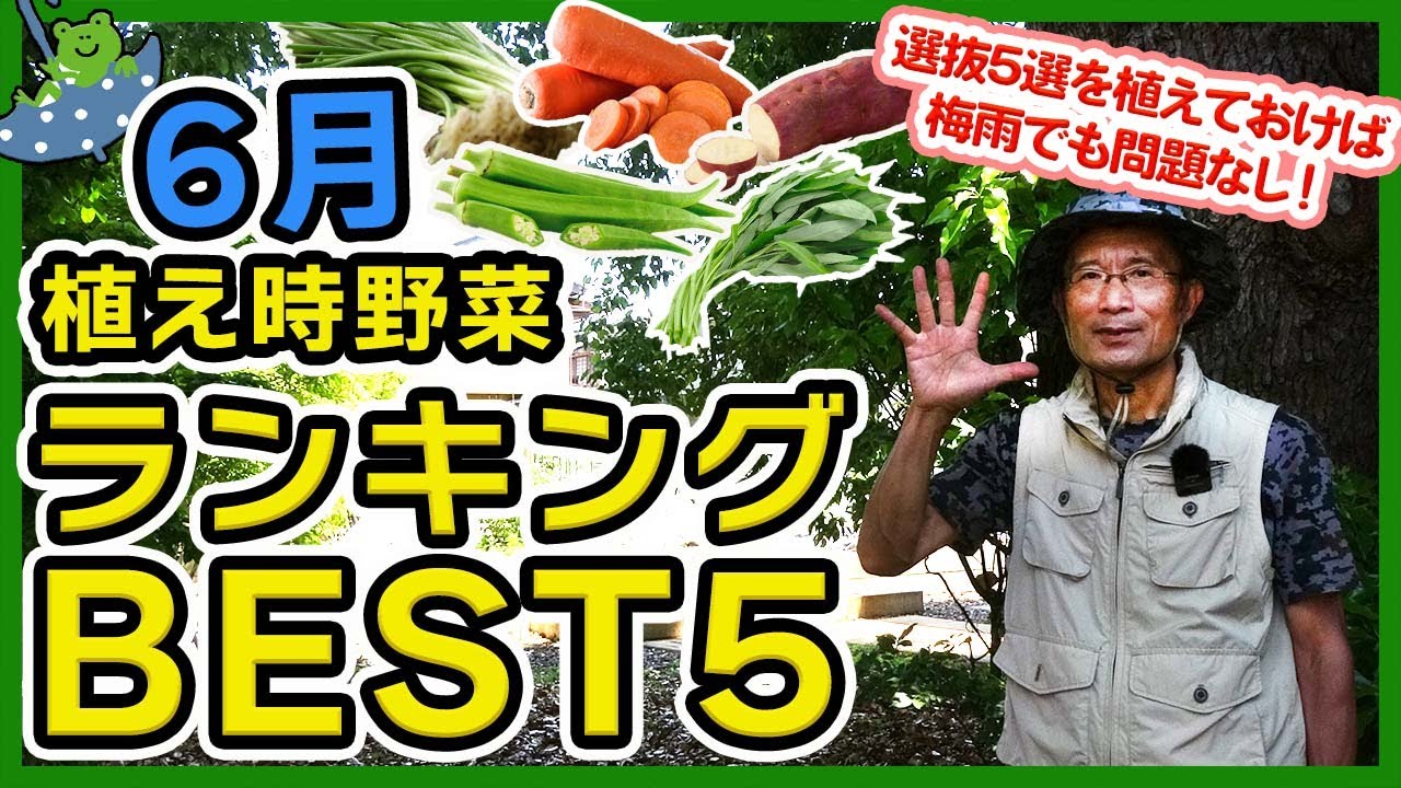 おいしい野菜研究室6キロ June Planted Vegetable Ranking BEST5 ! - YouTube