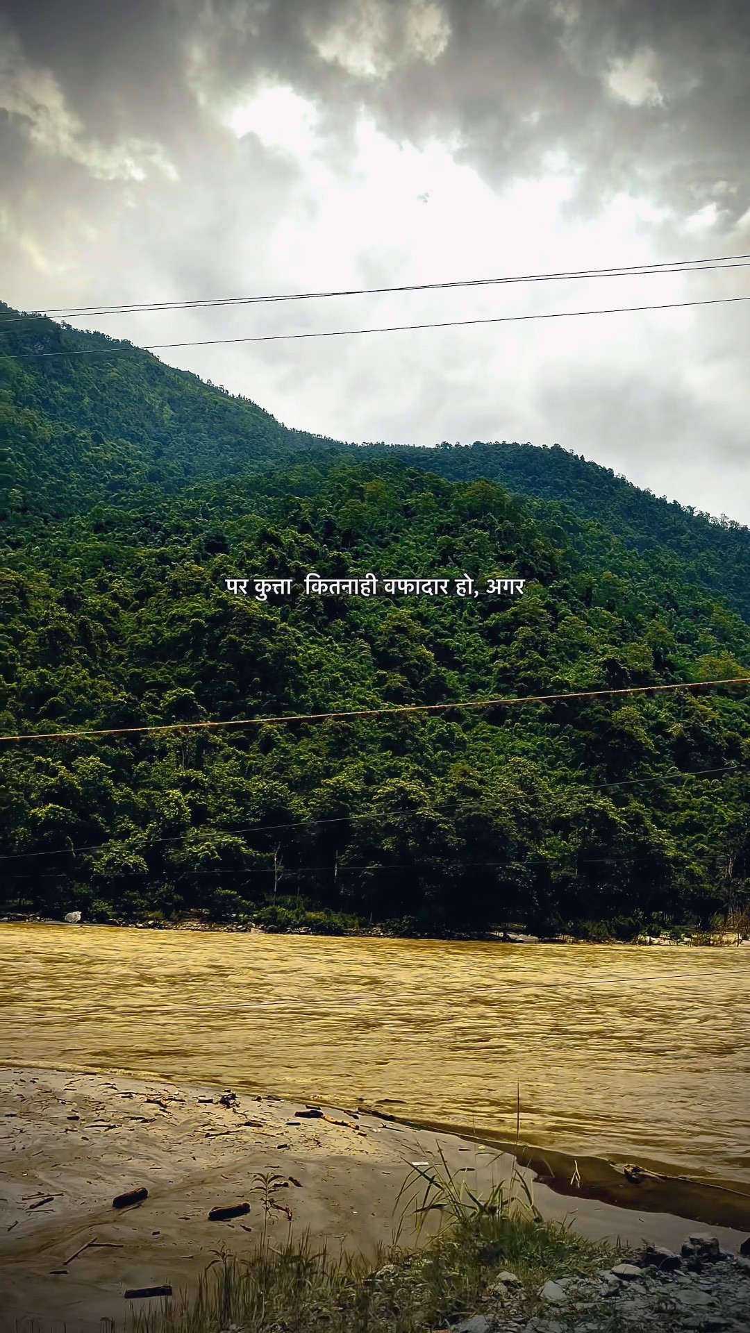 📹 ट्रेंडिंग वीडियो - ShareChat