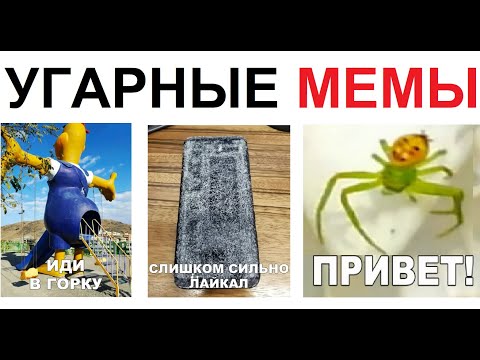 200 МЕМОВ. Иди ты в ГОРКУ !!! Паук с человеческим лицом