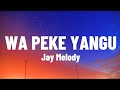 Jay Melody - Wa Peke Yangu (Lyrics Video)