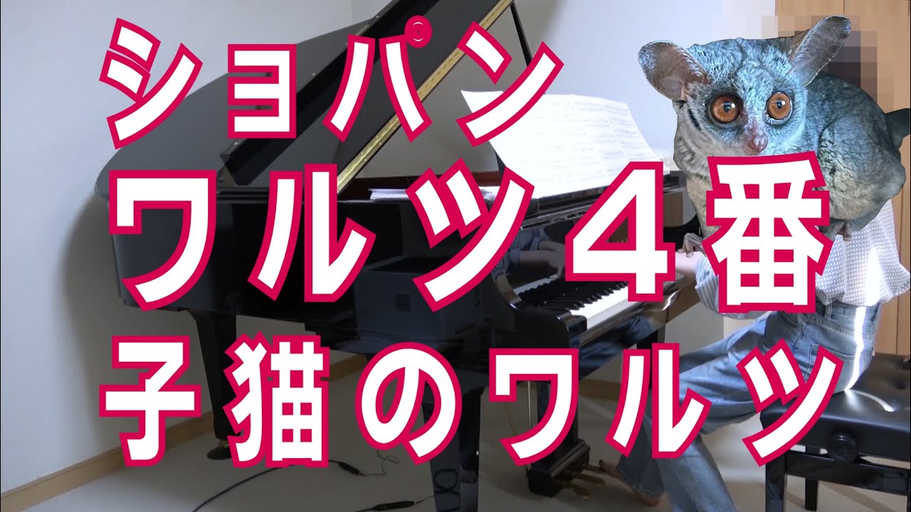 子猫のワルツページ ショパン ワルツ4番 ヘ長調 Op.34-3 「子猫のワルツ」 [ Chopin waltz