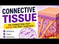 CONNECTIVE TISSUE IN DETAIL 