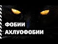 Фобия. Ахлуофобии — боязнь темноты и айлурофобия — боязнь черных кошек