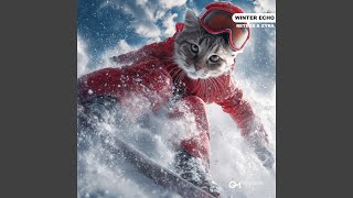 Winter Echo