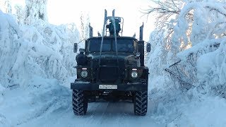 Покатушки за лесом на Северный Колчим В Сказочный лес