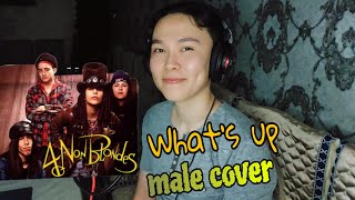 4 Non Blondes - What's Up (Male Cover)