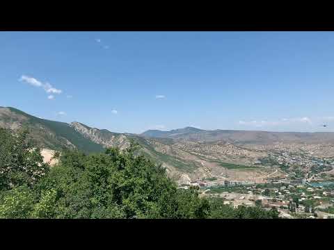 Орёл в небе