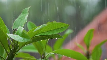 سورة الفاتحة بصوت مريح جدا 🤲🏻🥺