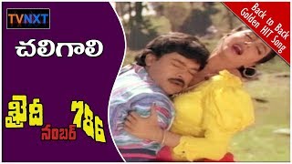 Chaligali kottindamma telugu full video song is from the movie khaidi
no 786. 786 a 1988 film, starring chiranjeevi, bhanupriya, suthivel...