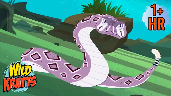 The WILDEST Creatures That Will Make You Think Twice About Nature | Wild Kratts | 9 Story Kids