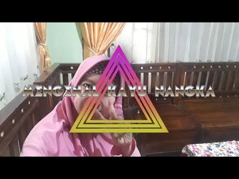 Mengenal kayu  nangka  kusen  kayu  YouTube