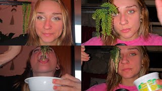 SEA GRAPES ASMR 