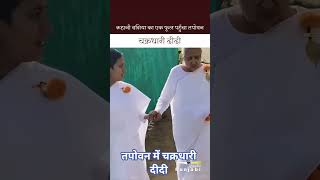 रूहानी बग़िया का एक फूल पहुँचा तपोवन I तपोवन में चक्रधारी दीदी #shorts