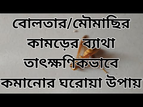 ভিডিও: 68 নিরাময় কামড়