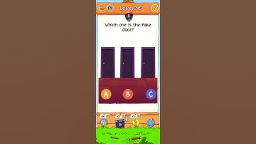 Braindom 2 Level 245 Which one is the fake door?