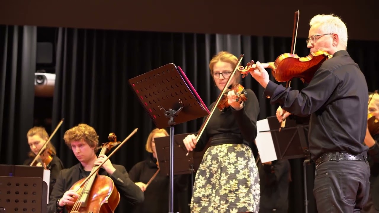 Das Ensemble Animé spielt das Impromptu for Strings No. 1 von Albert Zilverberg.