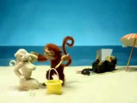 Monyet Kocak Bikin Ngakak 