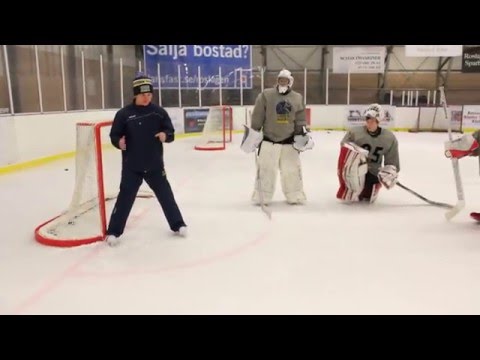 Sweden Hockey Institute - Gustav Griborn and Thomas Magnusson on ice