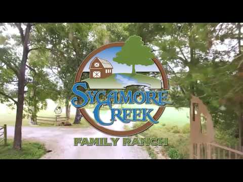 Sycamore Creek Commercial
