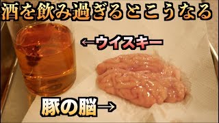 【実験】酒の飲み過ぎが
