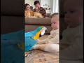 ㊗️オウムの鳴き声が犬の鳴き声になり固まってしまう赤ちゃん👶🦜🐶#parrot #baby #cute #funny #shorts #赤ちゃん #オウム
