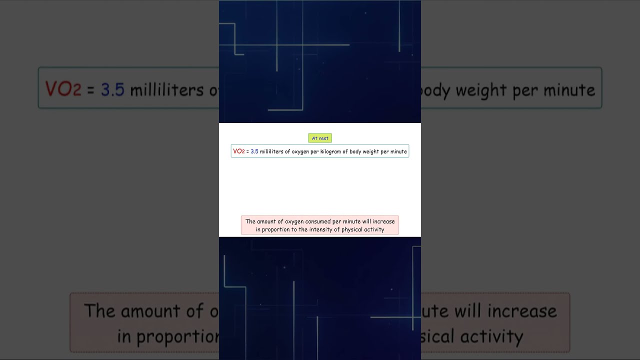 VO2MAX Explained In One Minute 