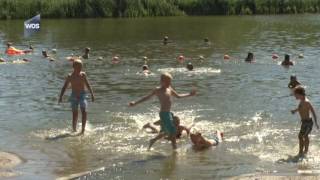 Waarschuwing Voor Blauwalgen In Zwemwater Naaldwijk