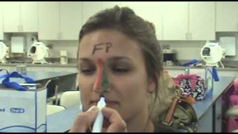 Embryological Development of the face