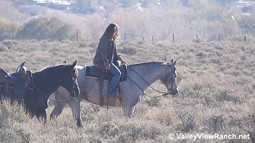 Pages Patty Cowboy and Comets Blue Question - ponying and playing! - ValleyViewRanch.net